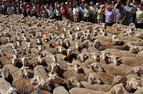 Top 12 des endroits où sortir en Aveyron ce week-end