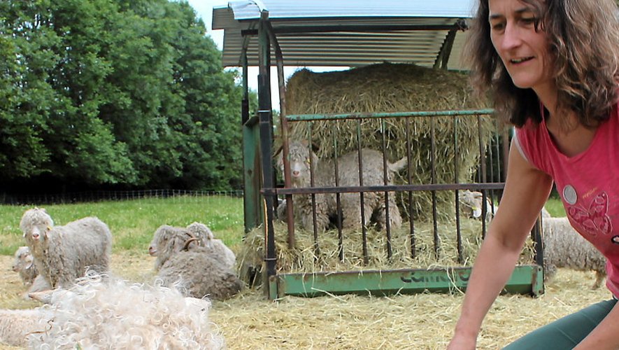 Cécile prend soin de ses chèvres angora dans sa ferme de Cantoin.