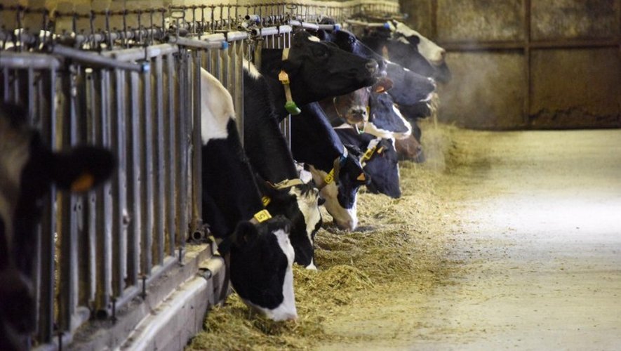 Depuis deux ans, les professionnels aveyronnais subissent de plein fouet la «crise du lait».