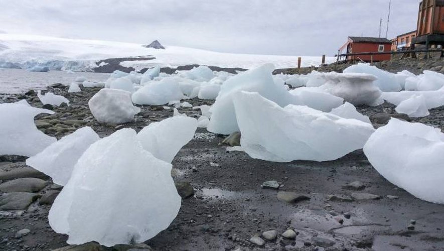 Des blocs de glace le 12 janvier 2017 sur la base scientifique argentine Carlini à Potter Cove sur l'Archipel Shetland