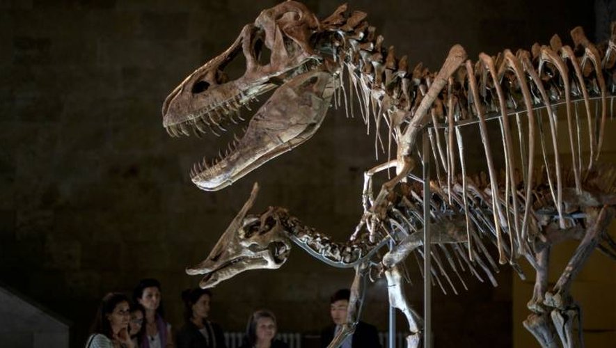 Fossile d'un dinosaure rapatrié de l'étranger, dans un musée à Oulan Bator, en Mongolie, le 2 juillet 2016