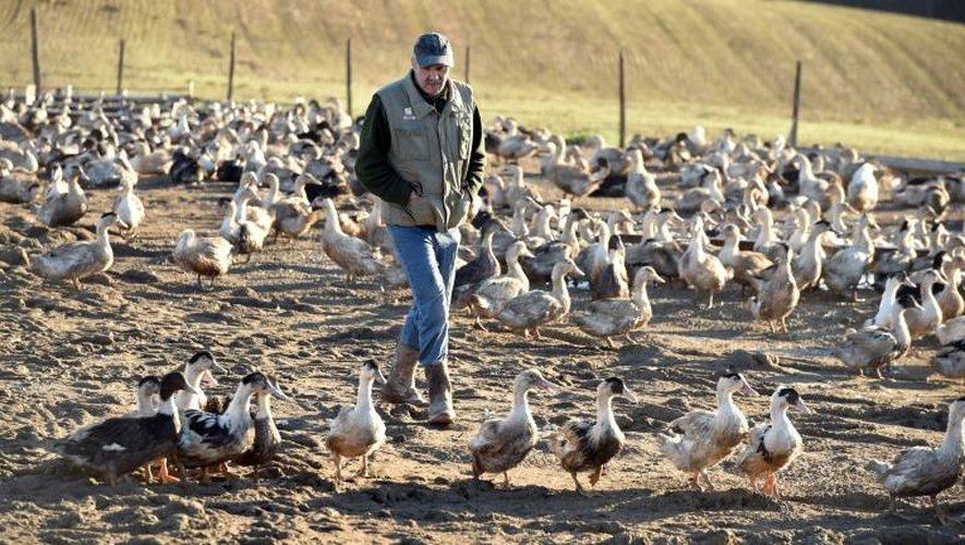 Bernard Dupuy, éleveur de canards, dans sa ferme le 5 janvier 2017 à Bars dans le sud-ouest de la France