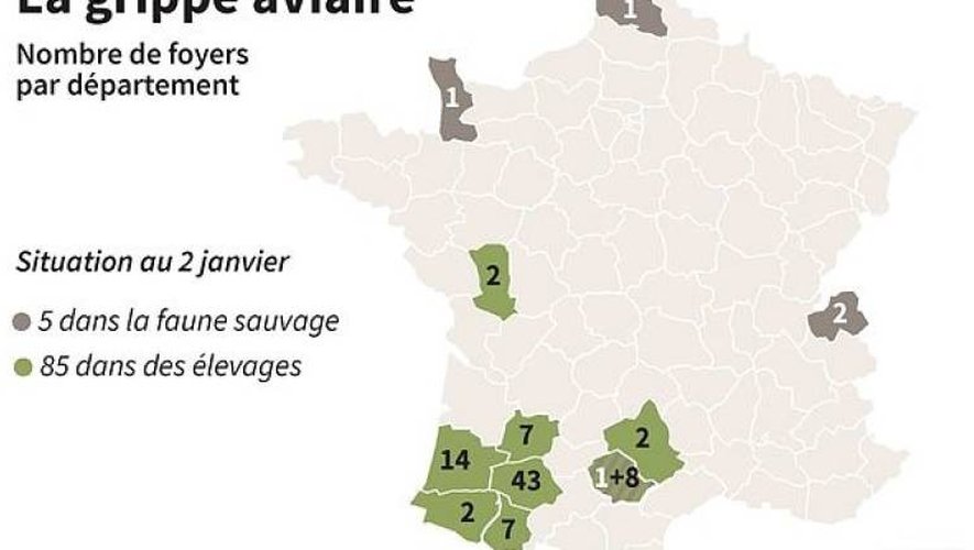 Grippe  aviaire : 85 cas recensés, pas d'évolution en Aveyron