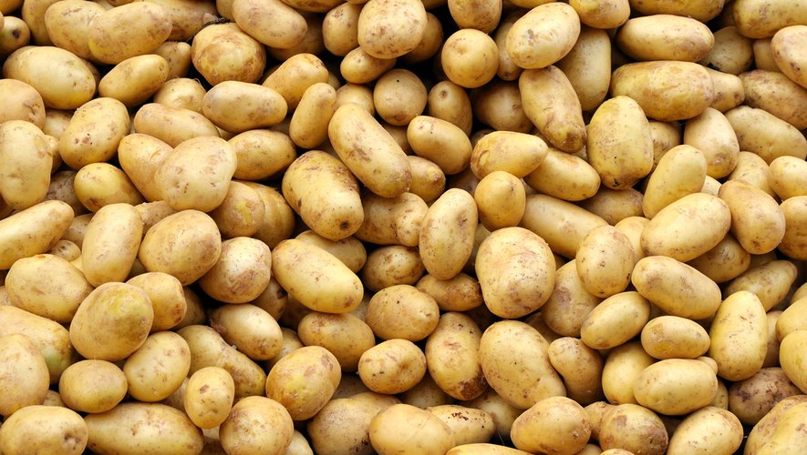 Baromètre des produits frais : le sac de 5kg de pommes de terre à moins de 1 euro