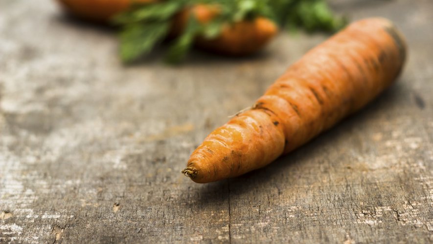 Le sachet de 2 kg de carottes lavées origine France est 34 centimes plus cher que l'an passé.