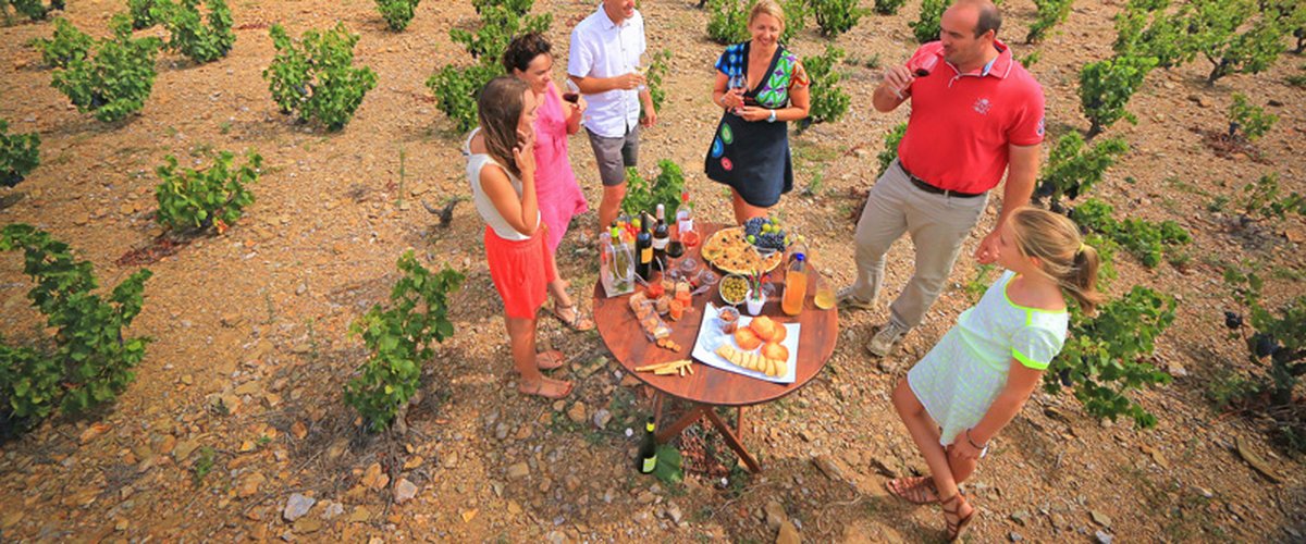 L'Occitanie, plus vaste vignoble du monde, fête la gastronomie