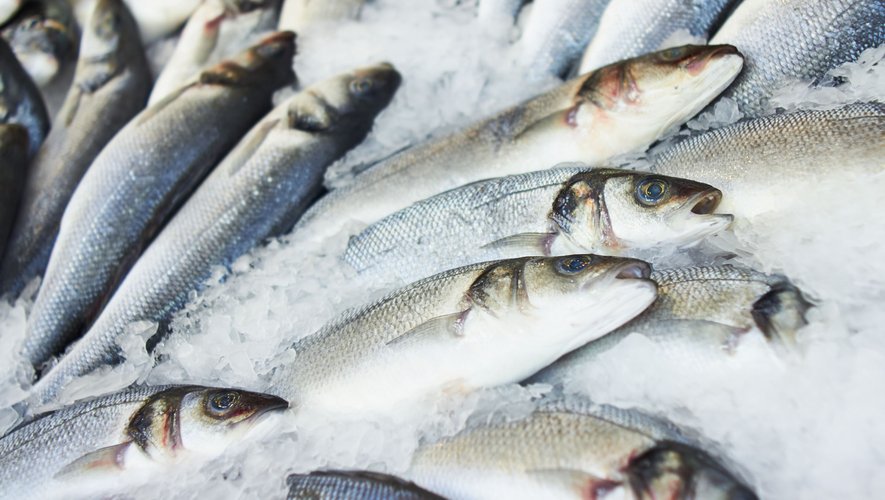 Les consommateurs français de produits de la mer ont pris conscience des dangers environnementaux pour le poisson liés à la pollution et à la surpêche, mais peinent à traduire ces préoccupations dans leurs critères d'achat.