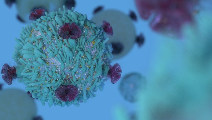 Le Nobel de médecine salue l’immunothérapie