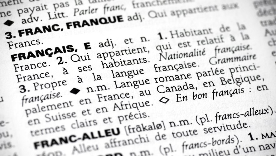 A l'expression "fake news", préférez le terme "information fallacieuse" ou le néologisme "infox", a statué jeudi à Paris la Commission d'enrichissement de la langue française (CELF).