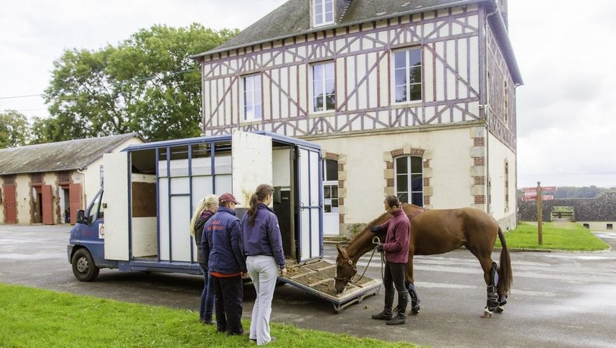 L’Institut français forme les éleveurs au transport d’animaux