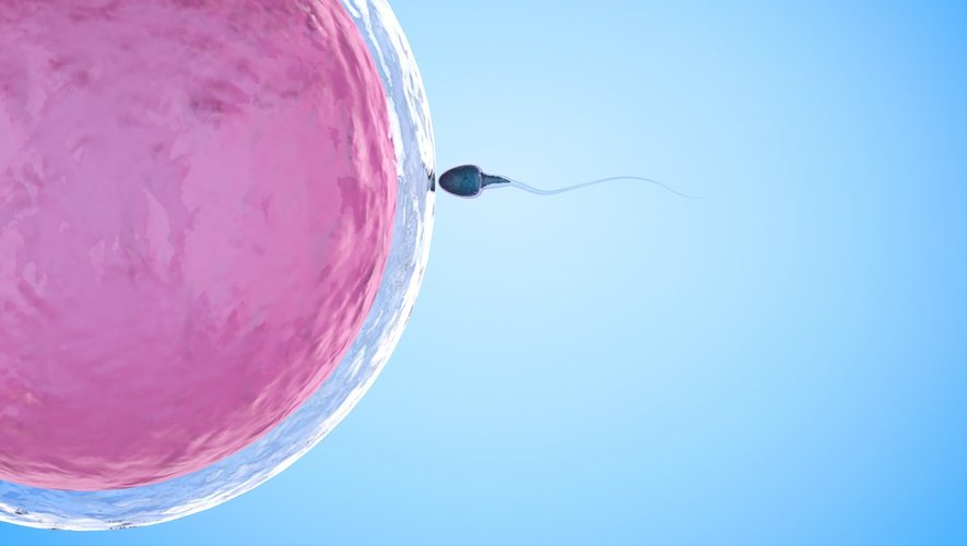 [vidéo] Un bébé grâce à un don d’ovocytes