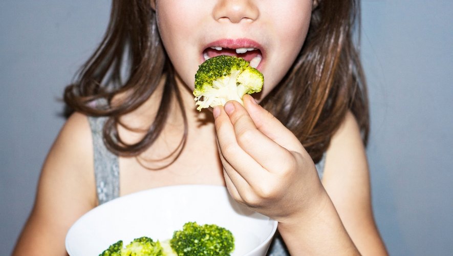 Le brocoli, l’un des meilleurs aliments pour la santé