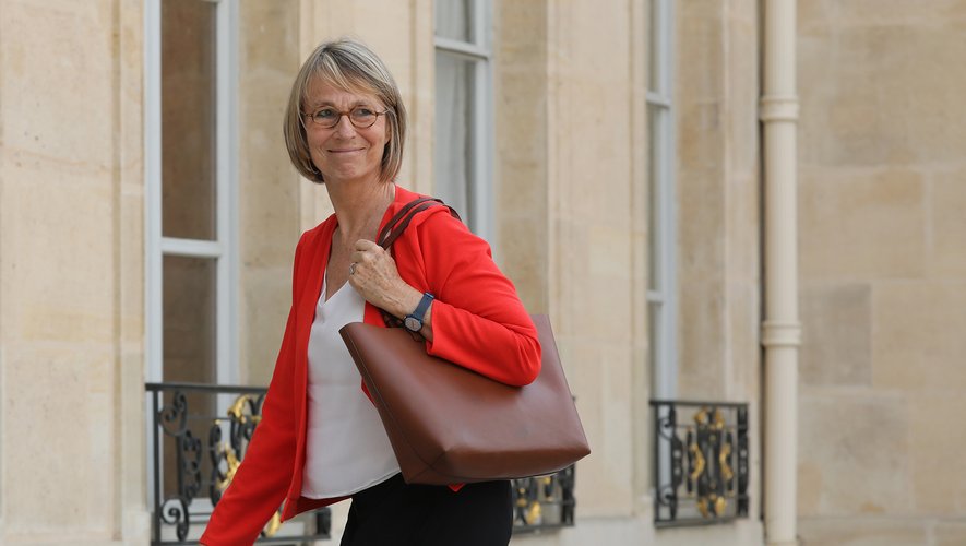En mai 2018, à l'occasion du Printemps de Bourges, l'ex-ministre de la Culture Françoise Nyssen avait annoncé qu'un Centre national de la musique serait créé, précisant même qu'il pourrait voir le jour début 2019.