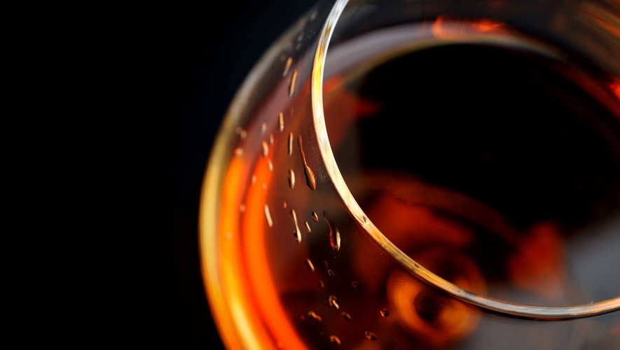 L'appellation cognac est sur le point d'obtenir l'autorisation de planter près de 3.500 hectares de vignes de plus, qui lui permettront d'anticiper sur le long terme la demande pour ce spiritueux très couru