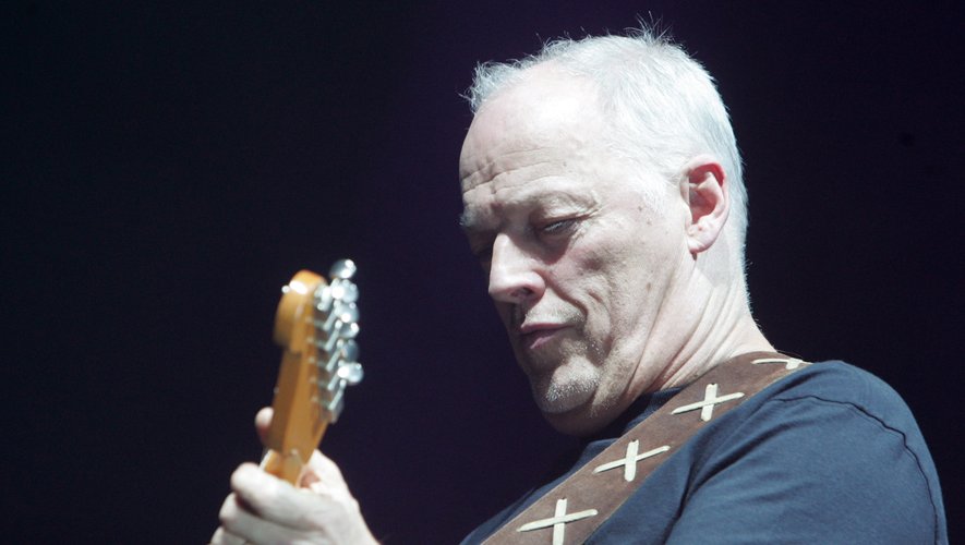 David Gilmour, ici en concert au Grand Rex à Paris le 15 mars 2006, va mettre aux enchères sa collection de guitares.