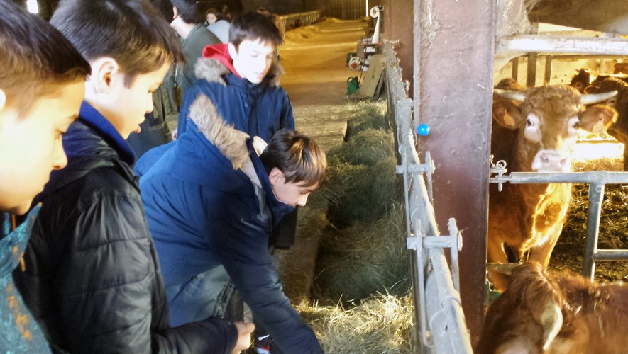 Les élèves séduits par les  visites pédagogiques à la ferme.