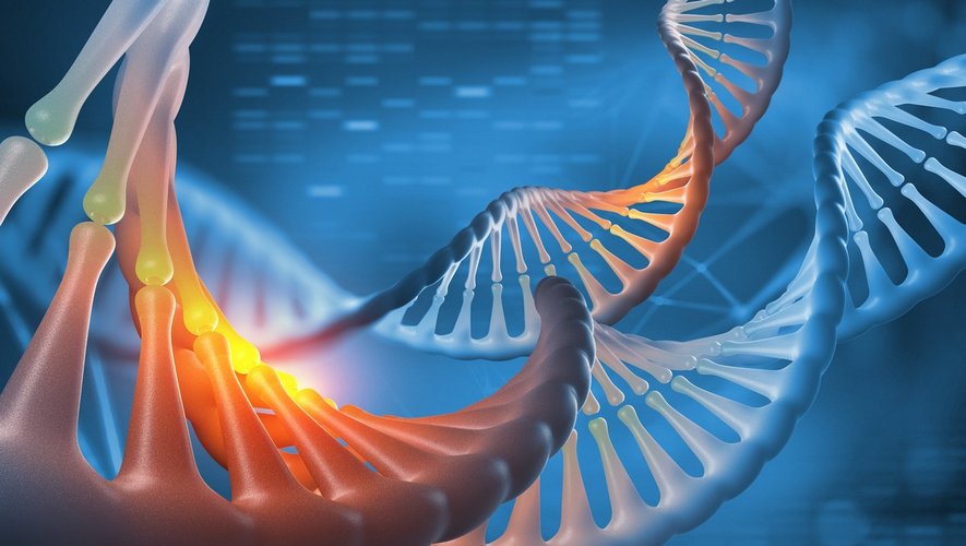 Infertilité masculine : un diagnostic rapide grâce au séquençage du génome