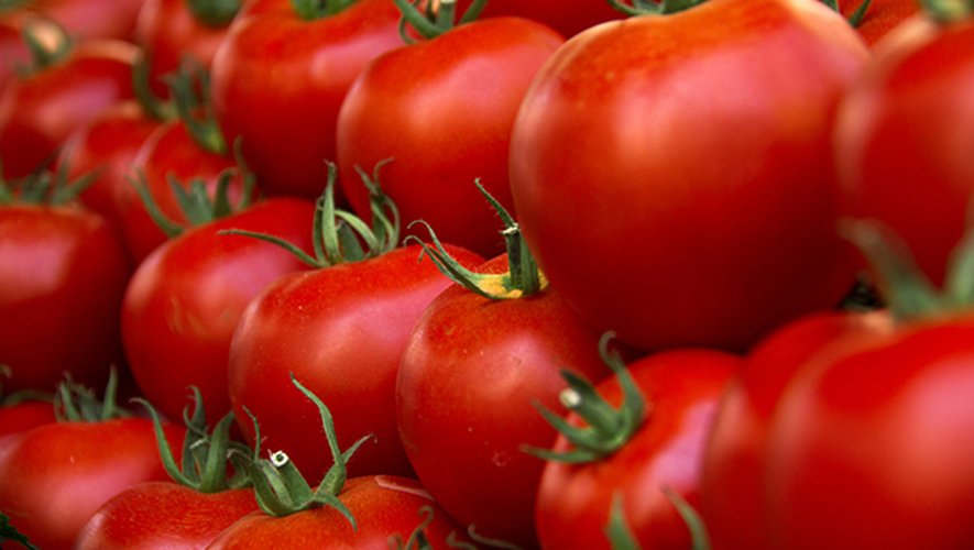 Les tomates rondes descendent sous la barre des 2€