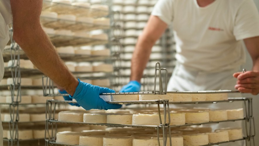 Un atelier de fabrication de fromage au programme du Salon de l'Agriculture