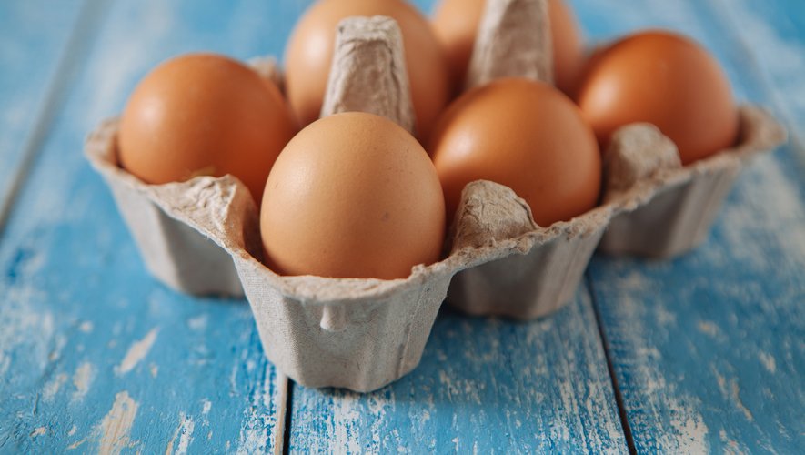 La filière, qui produit 15 milliards d'œufs chaque année en France, s'est engagée à ce qu'une poule sur deux soit élevée autrement que dans des cages d'ici à 2022.