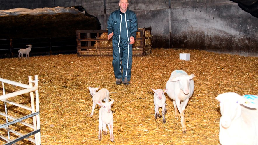 Philippe Tabardel aime et défend son métier d’éleveur.