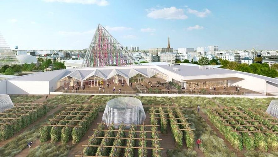 Viparis a prévu d'ouvrir la plus grande ferme urbaine au monde sur le toit de Paris Expo