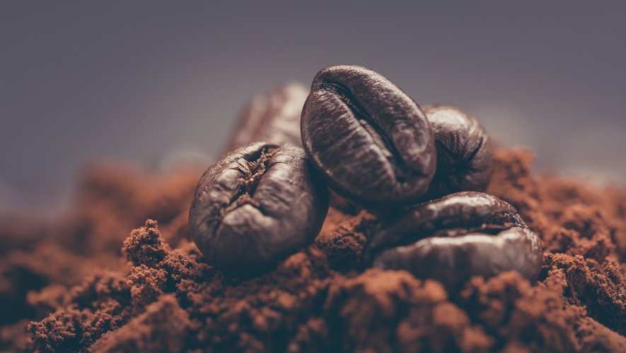 Menus santé : le café, grains de saveurs