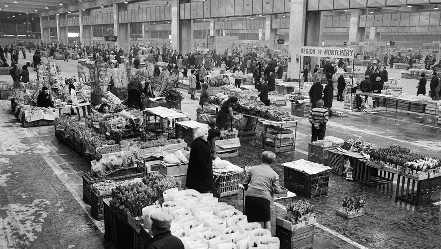 Photo prise le 03 mars 1969 du marché aux fleurs de Rungis.