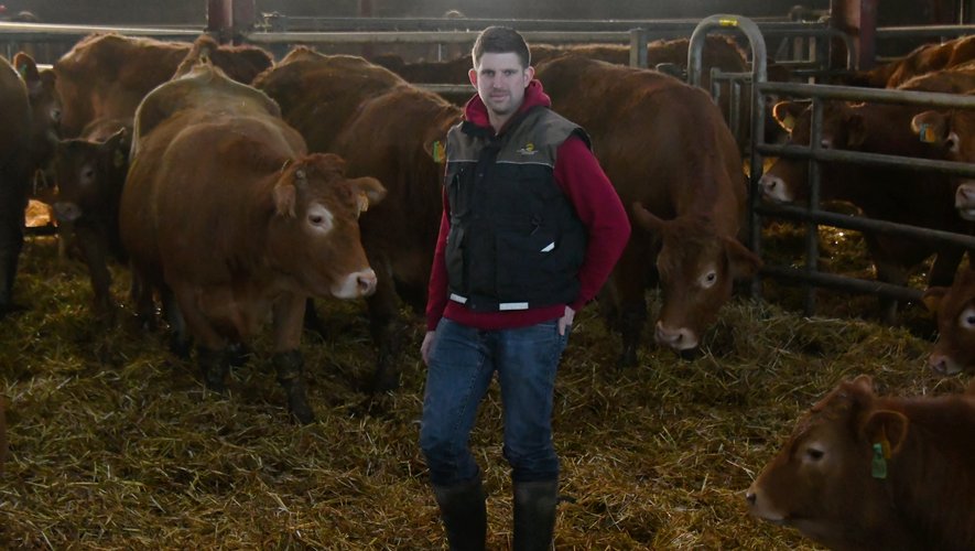 Après six ans passés comme conseiller commercial chez Unicor, Loïc Maruéjouls a souhaité rejoindre ses parents au Cussou pour s’occuper du chepel de vaches allaitantes.