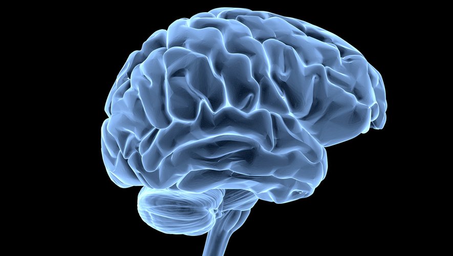 Neuromarketing : cette technique entend anticiper les préférences et décisions d’achats des consommateurs, grâce à l’imagerie cérébrale.