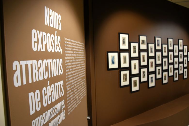 Nains et géants, au musée Fenaille.