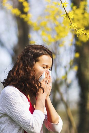 Le réchauffement climatique va conduire à "une augmentation des quantités de pollen" à l'origine de gênes ou d'allergies respiratoires, avertissent trois réseaux de suivi