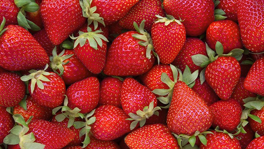 Baromètre des produits frais du 18 au 22 mars : forte baisse des prix pour les fraises gariguette