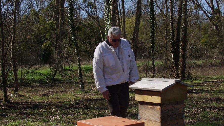 Jean-Pierre Mangé très attentif au fonctionnement des abeilles en ce début de printemps.