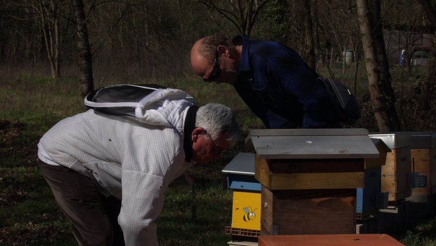 Le suivi de l’activité des abeilles peut se faire au quotidien grâce aux équipements mis en place.