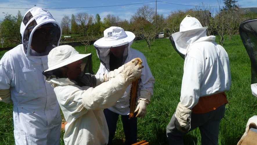 Le chercheur Pierre Bono propose de travailler en étroite collaboration avec le rucher école afin d’appréhender les divers problèmes que rencontrent les abeilles aujourd’hui.