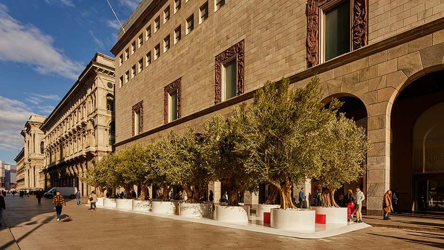 Sabine Marcelis a conçu un boulevard d'oliviers devant le magasin Rinascente pour le salon milanais