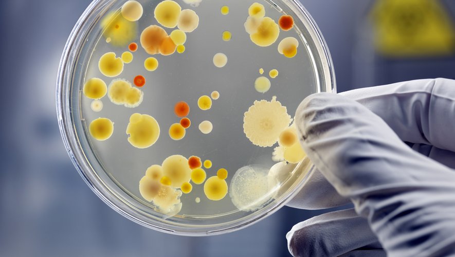 Des chercheurs ont mis au point une "bombe génétique" capable de cibler les bactéries résistantes sans tuer celles qui sont bonnes pour l'organisme