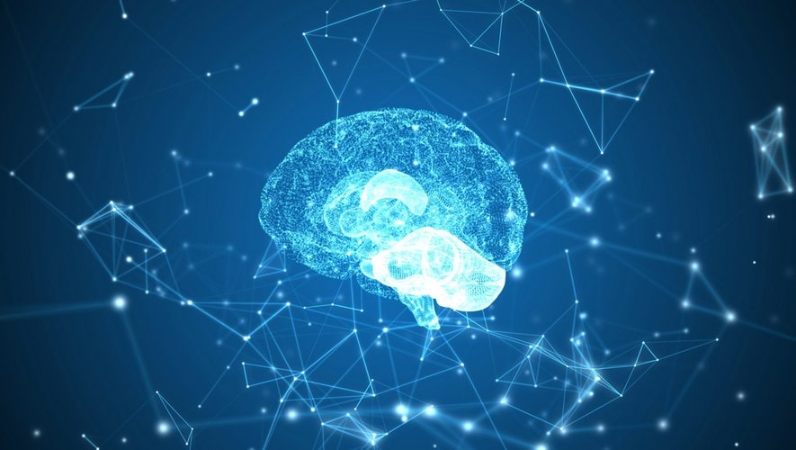 Neurologie : pourquoi le cerveau peine-t-il à oublier ?