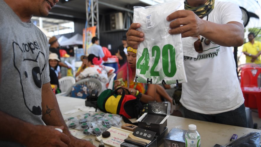 Un festival dédié à la marijuana se tient ce week-end jusqu'à dimanche dans la province rurale du Buriram, à quelques centaines de kilomètres au nord-est de Bangkok.