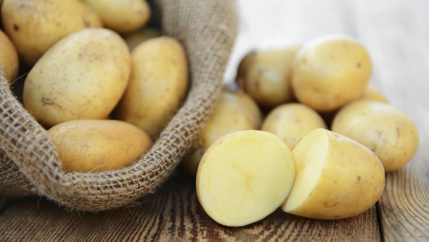 Le prix des pommes de terre vendues en vrac augmente de 35%