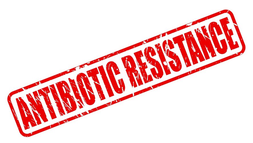 Résistance aux antibiotiques : l’OMS lance un appel d’urgence