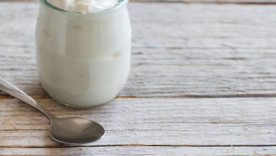 La production industrielle de yogurt fut lancée en 1919, avec le produit Danone, diminutif de Daniel