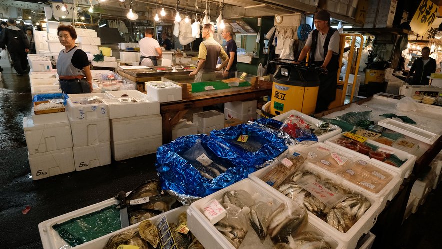 A Tokyo, le marché de Tsukiji a été transféré à Toyosu mais il reste encore des étals qui ont subsité et qui méritent le détour