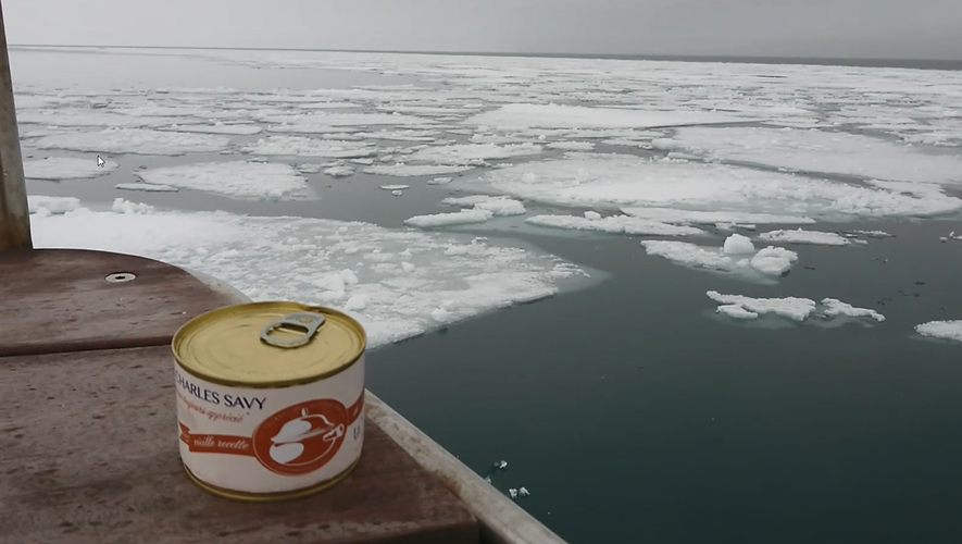 Des tripous sur l'arctique