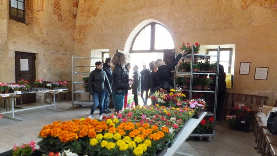 Vive le marché aux fleurs  de l’école Saint – Charles