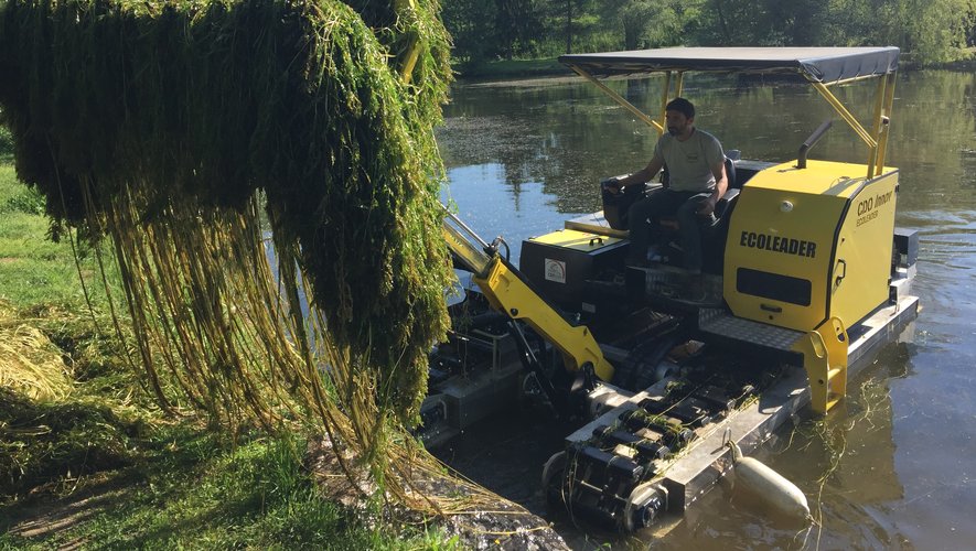 Les algues invasives retirées du lac de la Forézie.