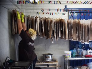 L'arrivée massive de sargasses sur la côte caraïbe mexicaine menace l'industrie touristique mais stimule aussi l'ingéniosité des entrepreneurs locaux.