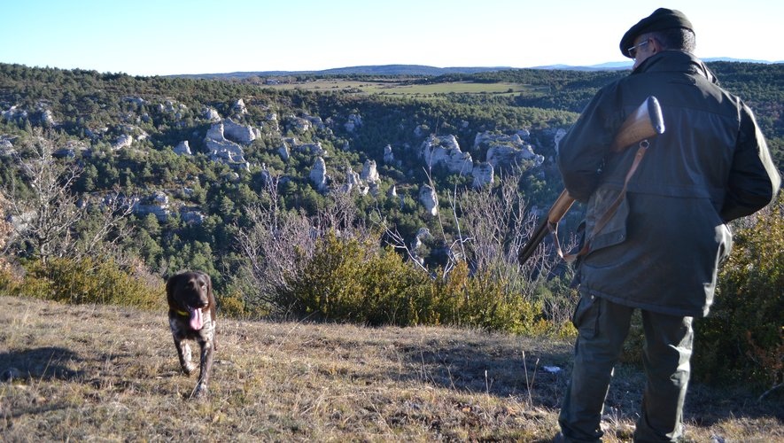 Les sociétés de chasse du Sud-Aveyron sont les plus touchées par le dispositif.
