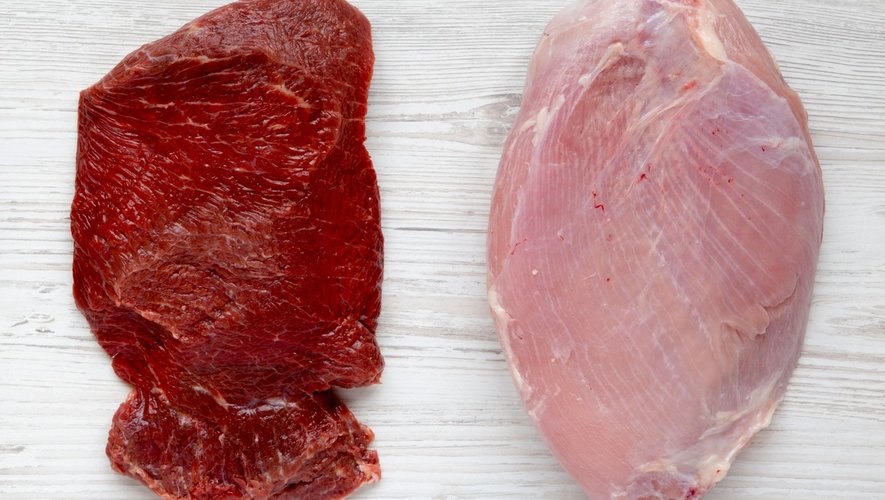 Cholestérol : viande rouge et blanche… également néfastes